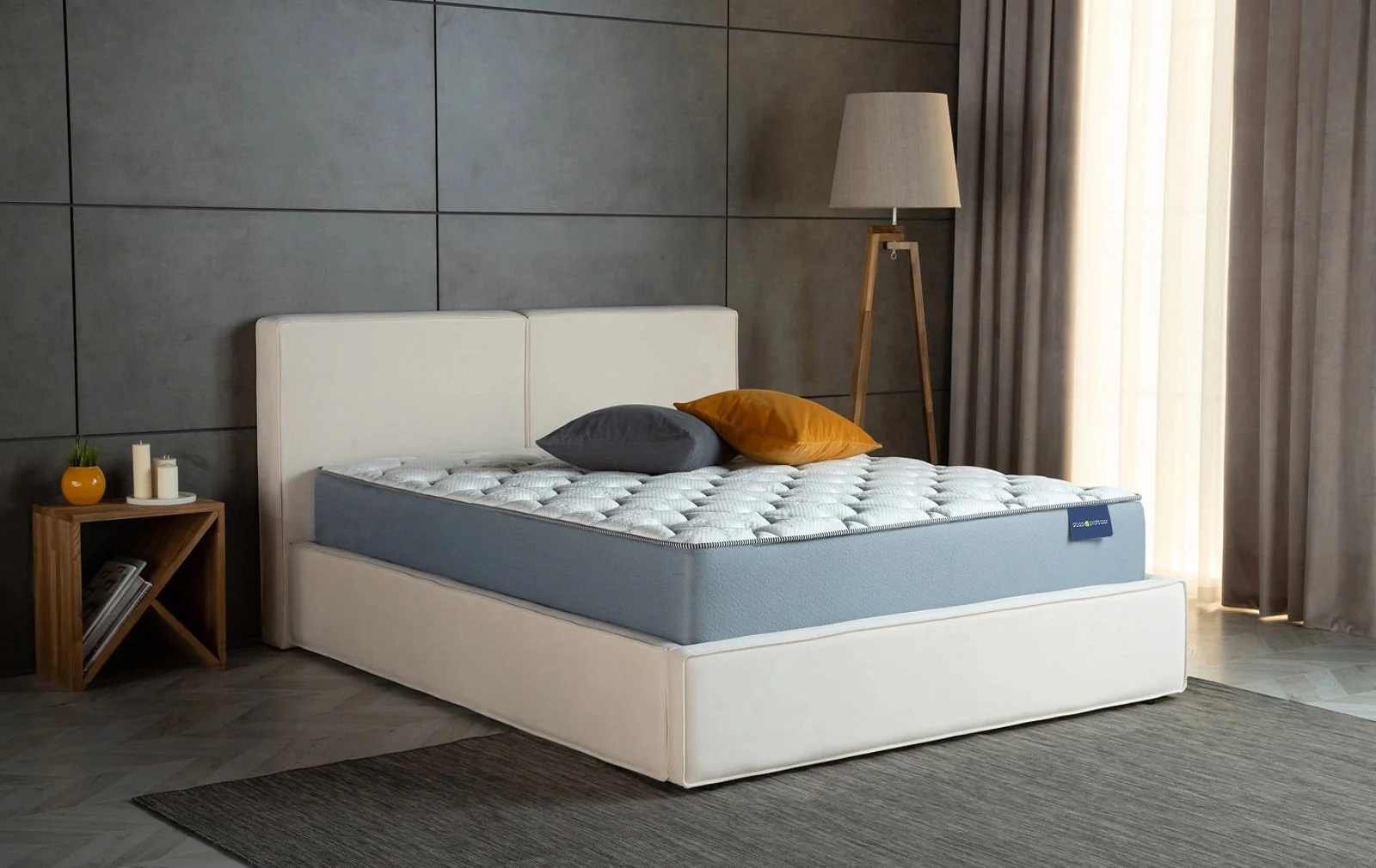 Sleep Professor Collection